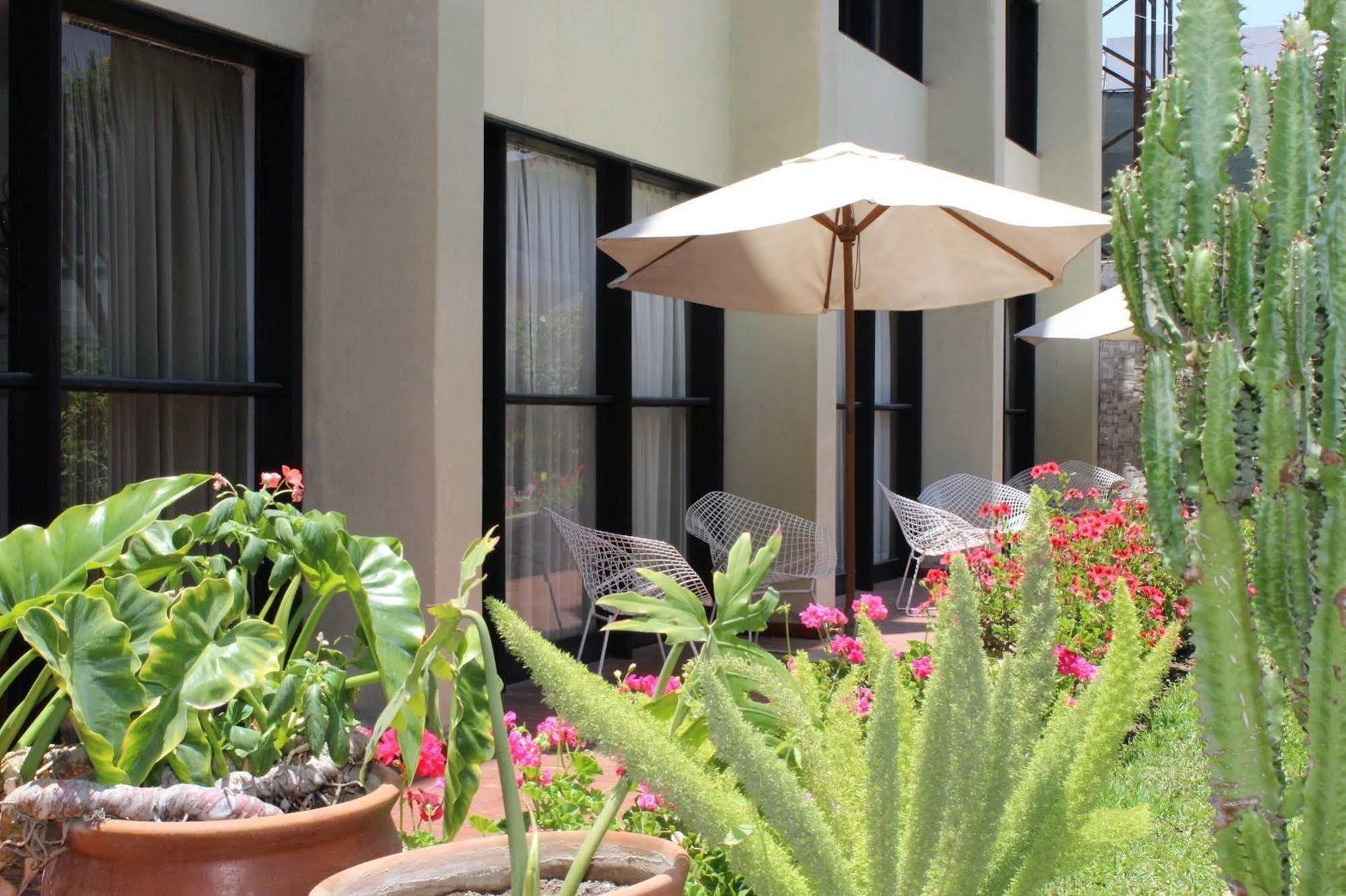 Holiday Suites Τάκνα Εξωτερικό φωτογραφία